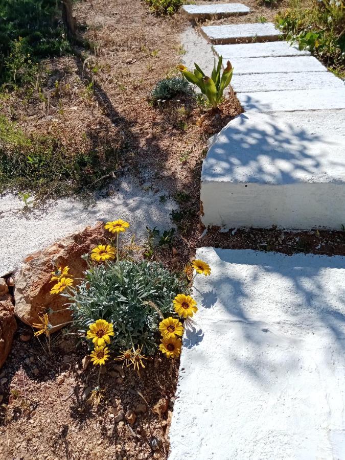 Trulli La Collinetta Villa Martina Franca Bagian luar foto