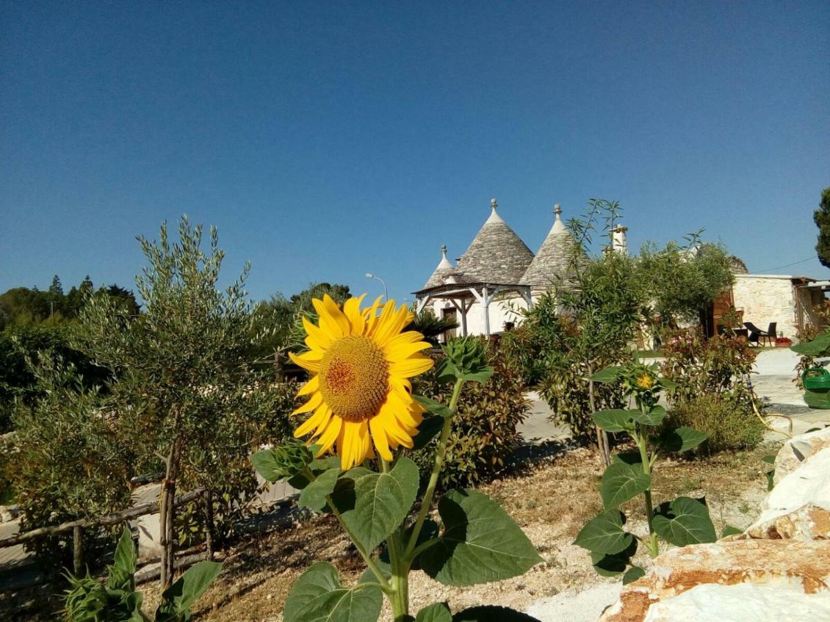 Trulli La Collinetta Villa Martina Franca Bagian luar foto
