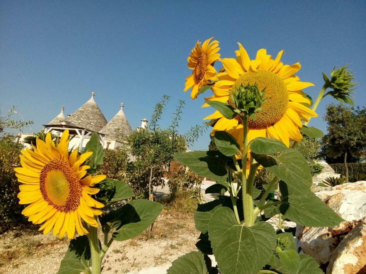 Trulli La Collinetta Villa Martina Franca Bagian luar foto